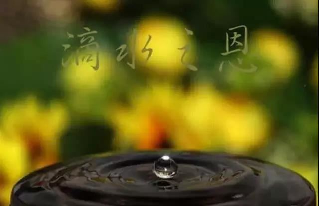 佛说一向出生菩萨经