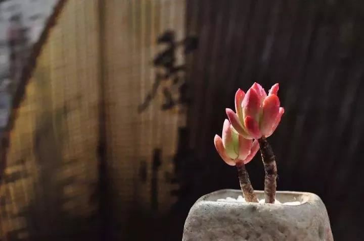 甘露军荼利菩萨供养念诵成就仪轨