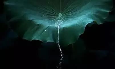 根本说一切有部略毗奈耶杂事摄颂
