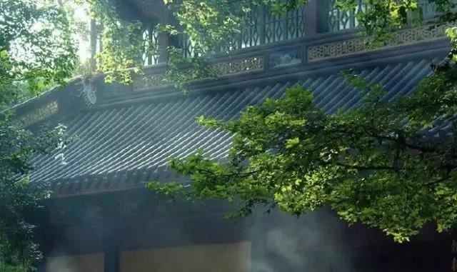 根本说一切有部毗奈耶