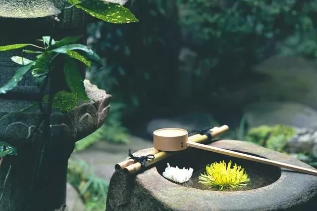 观无量寿佛经疏