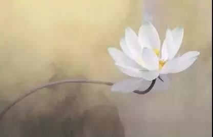 观自在菩萨如意轮咒课法