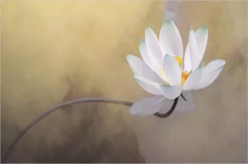 教王经开题