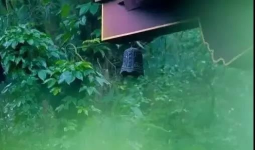 解脱道论