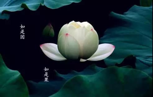 金刚般若论会释