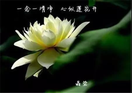 金刚峰楼阁一切瑜伽瑜祇经