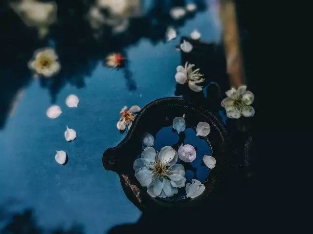 金刚光焰止风雨陀罗尼经