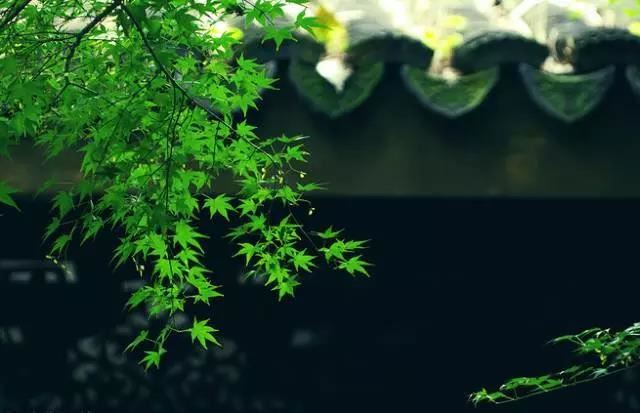 金刚上味陀罗尼经