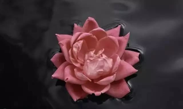 净土童蒙指归名目