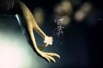 金光明经疏