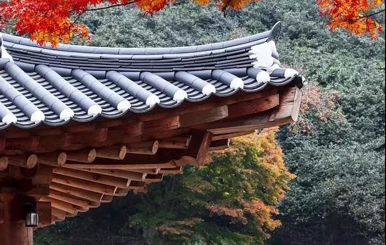 苦阴经