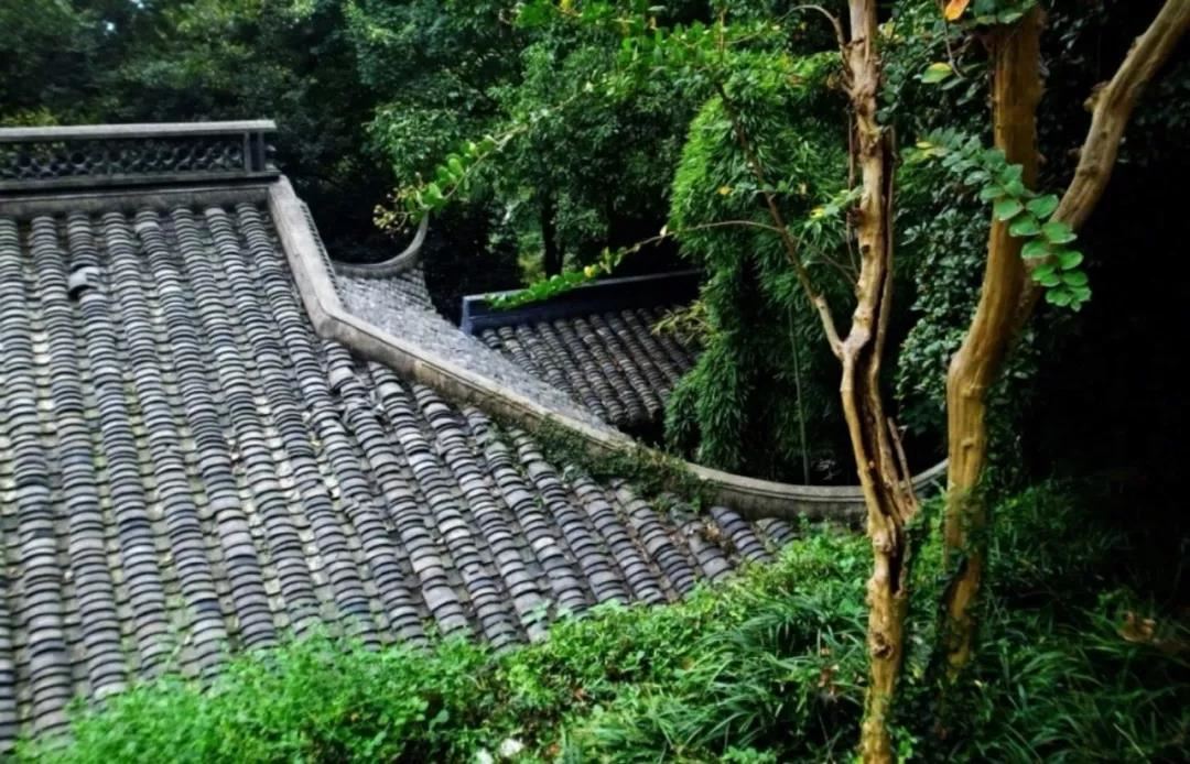 罗云忍辱经