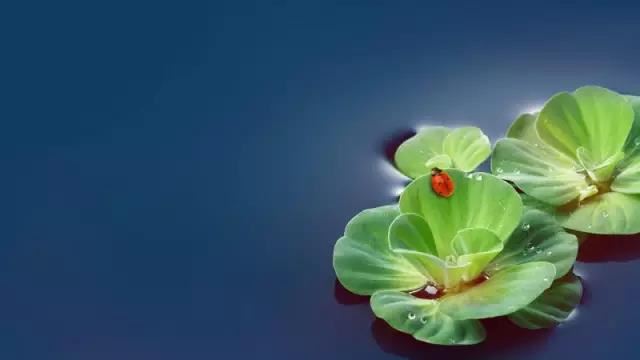 摩利支菩萨略念诵法