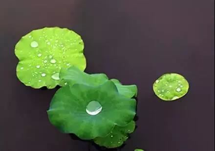 妙吉祥平等观门大教王经略出护摩仪