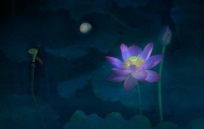 念佛三昧宝王论