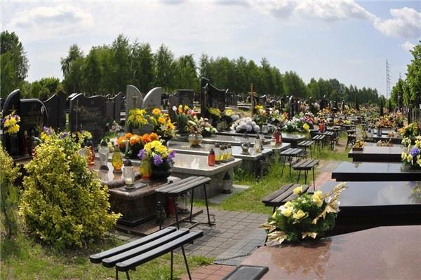 涅槃经本有今无偈论