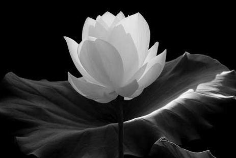 天请问经疏