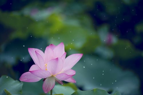 镡津文集