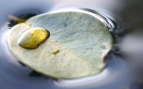 虚空藏菩萨能满诸愿最胜心陀罗尼求闻持法
