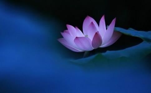 中阿含经