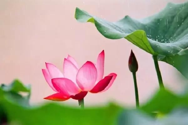 佛说摩利支天菩萨陀罗尼经