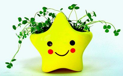 百论疏
