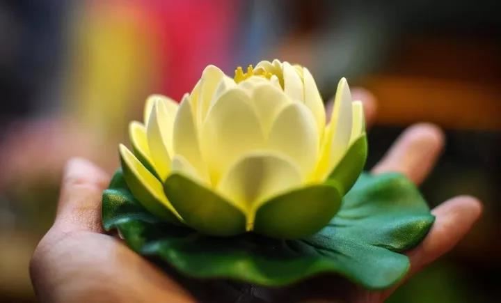 大树紧那罗王所问经