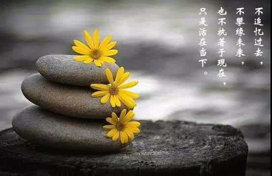佛说花聚陀罗尼咒经