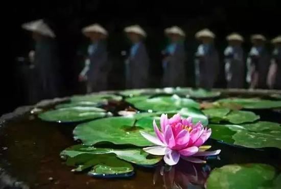 本相猗致经