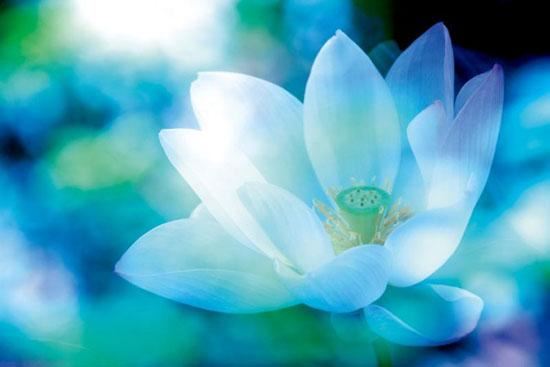 般若波罗蜜多心经_4