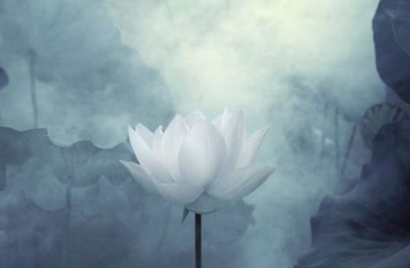 般若灯论释