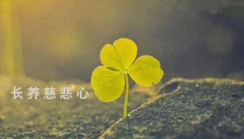大宝积经论